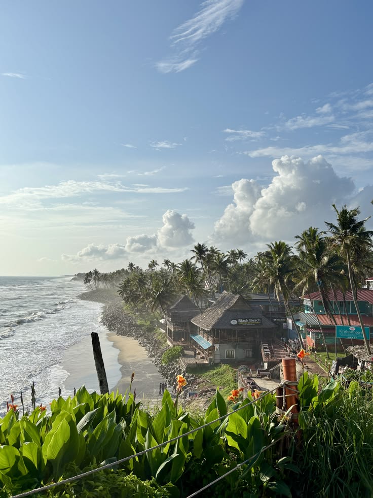 varkala cliff & beach – kerala’s hidden coastal gem