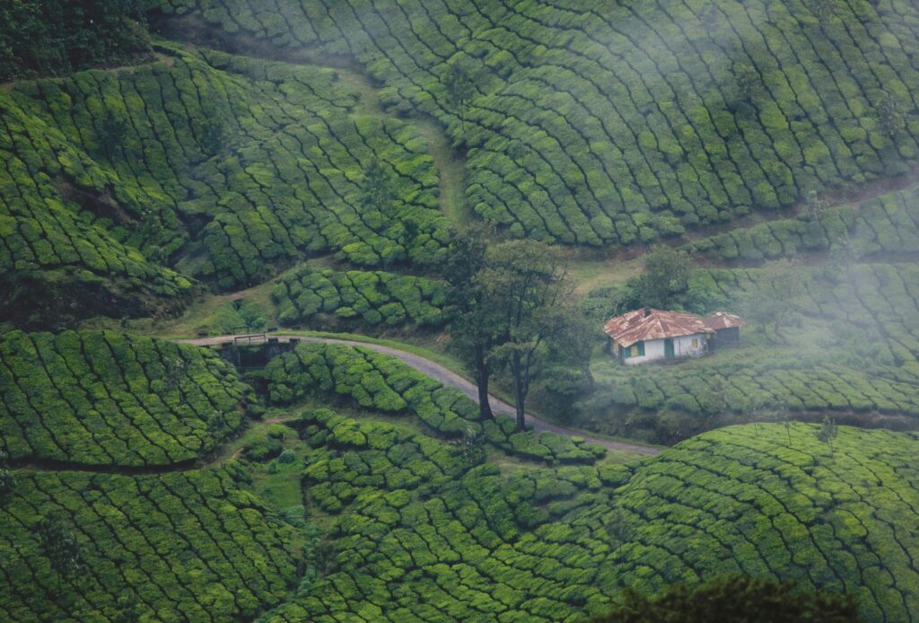 Faraway destination concierge